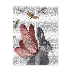 Dragonfly Hare Postcard