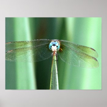 Dragonfly Hello  Poster by PattiJAdkins at Zazzle