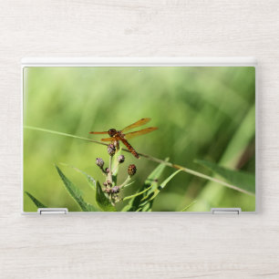 Dragonfly HP Laptop Skin