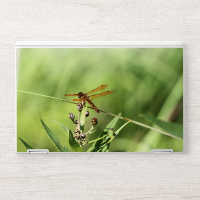 Dragonfly HP Laptop Skin (Front)