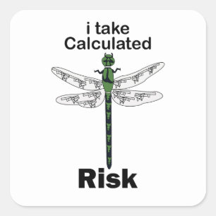 Dragonfly I Take Calculated Risk Funny Square Sticker