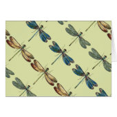 Dragonfly Illustrations (Front Horizontal)