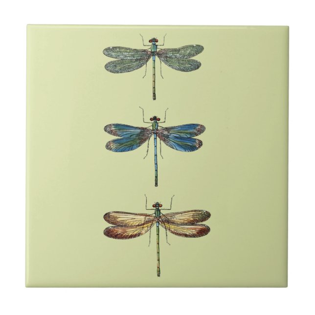 Dragonfly Illustrations Ceramic Tile (Front)