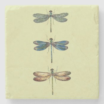 Dragonfly Illustrations Stone Coaster by ThinxShop at Zazzle