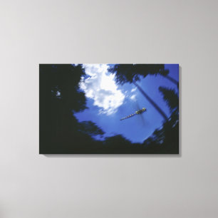 Dragonfly in flight, flapping wings canvas print