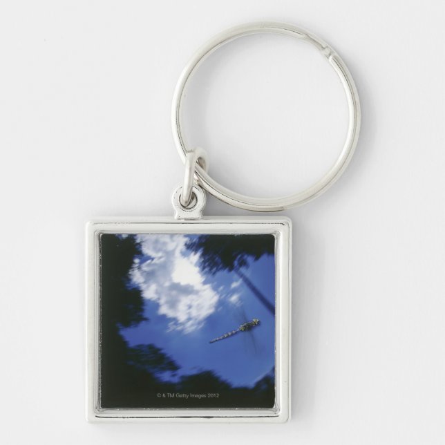 Dragonfly in flight, flapping wings keychain (Front)