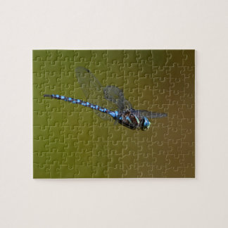 dragonfly in flight jigsaw puzzle