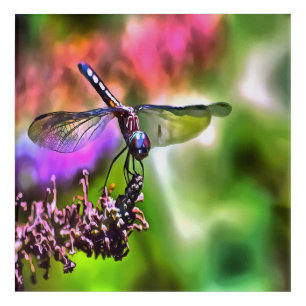 Dragonfly In Green and Blue Realistic Painting Acrylic Print