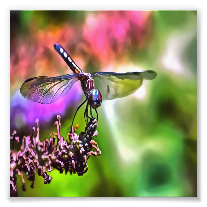 Dragonfly In Green and Blue Realistic Painting Photo Print | Zazzle