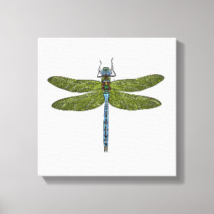 Dragonfly insect close up vibrant colors canvas print