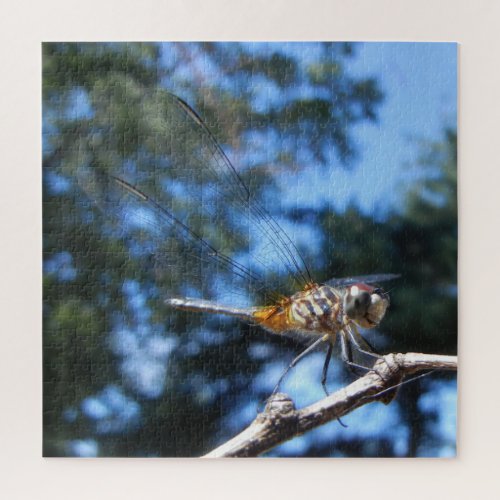 Dragonfly Insect Nature Macro Photo Jigsaw Puzzle