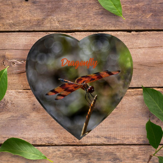Dragonfly Iridescent Orange and Black Photographic Paperweight (Creator Uploaded)