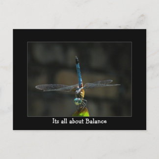 Dragonfly It's About Balance Postcard