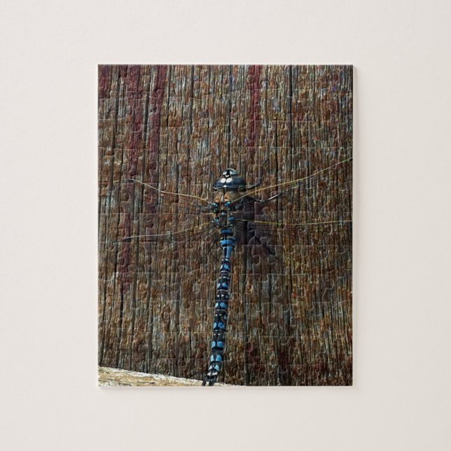 dragonfly jigsaw puzzle (Vertical)