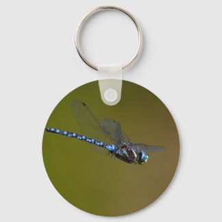 dragonfly keychain