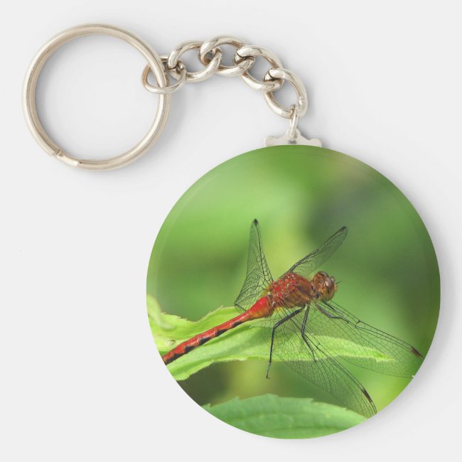 Dragonfly Keychain