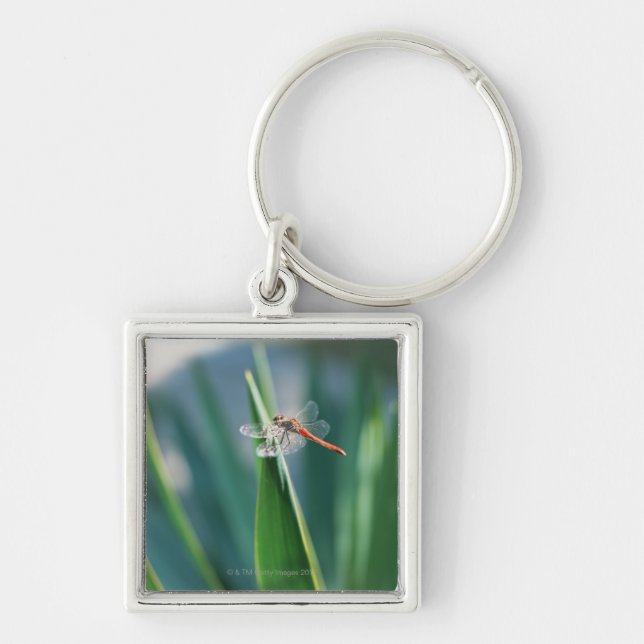 Dragonfly Keychain (Front)