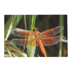 Dragonfly Laminated Placemat