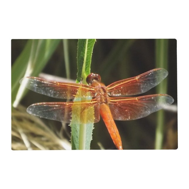 Dragonfly Laminated Placemat (Front)