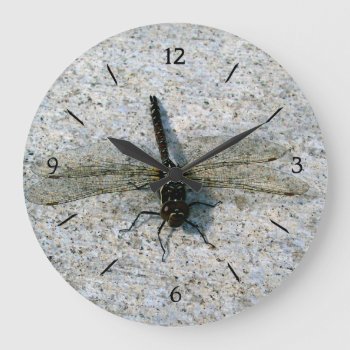 Dragonfly Large Clock by northwest_photograph at Zazzle
