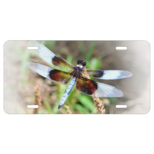 DRAGONFLY LICENSE PLATE