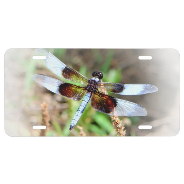 DRAGONFLY LICENSE PLATE (Front)