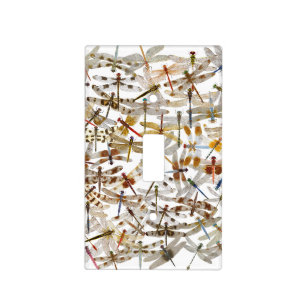 Dragonfly Lightswitch Light Switch Cover