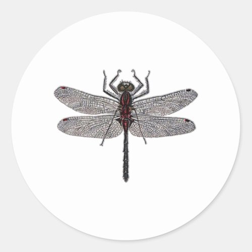 Dragonfly Logo color Classic Round Sticker