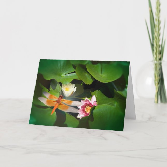 Dragonfly Lotus #4488 Card (Front)