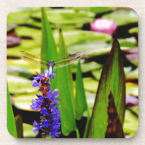 Dragonfly lotus and purple flower beverage coaster