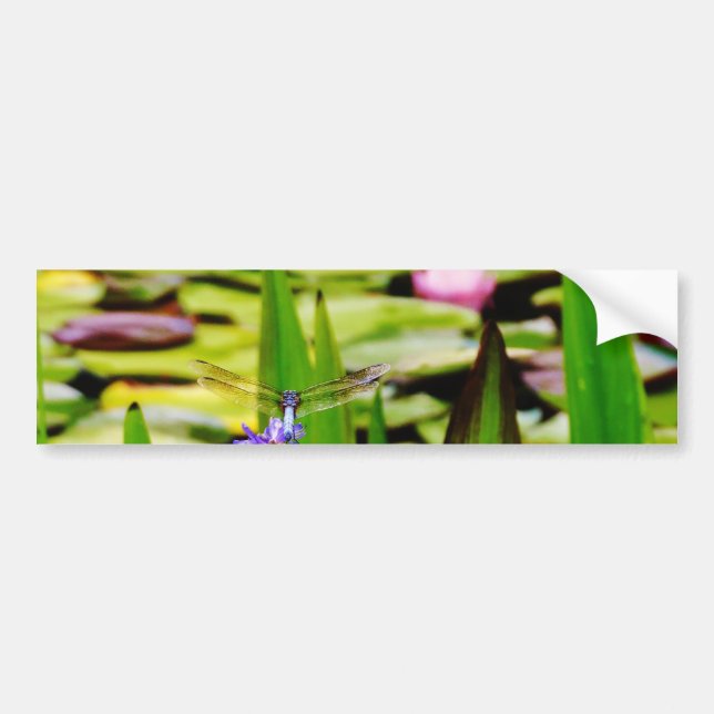 Dragonfly lotus and purple flower bumper sticker (Front)