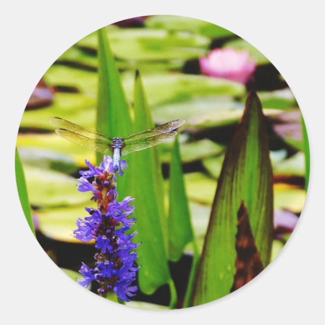 Dragonfly lotus and purple flower classic round sticker (Front)
