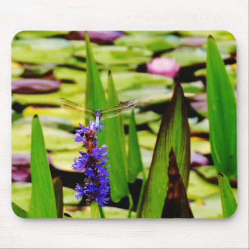 Dragonfly lotus and purple flower mouse pad