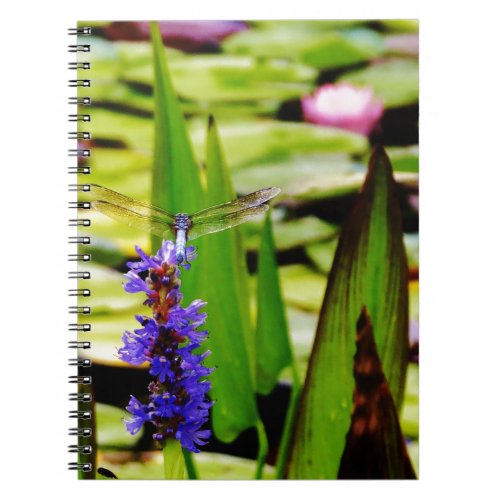 Dragonfly lotus and purple flower notebook
