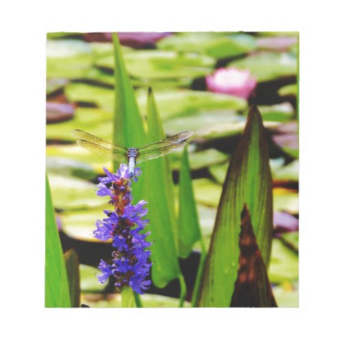 Dragonfly lotus and purple flower notepad