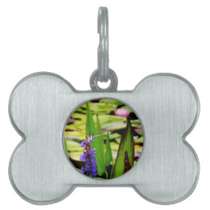 Dragonfly lotus and purple flower pet tag