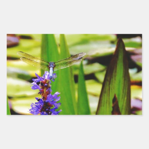 Dragonfly lotus and purple flower rectangular sticker