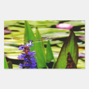 Dragonfly lotus and purple flower rectangular sticker