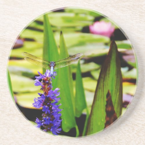 Dragonfly lotus and purple flower sandstone coaster