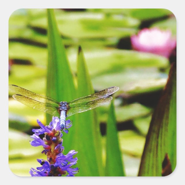 Dragonfly lotus and purple flower square sticker (Front)
