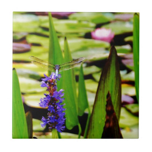 Dragonfly lotus and purple flower tile