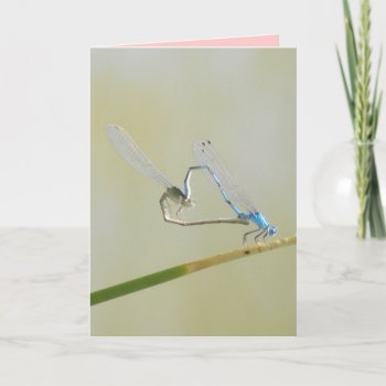 Dragonfly Love Card by abadu44 at Zazzle