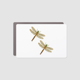 Dragonfly Lovers, Dragonfly Couples in Nature Car Magnet