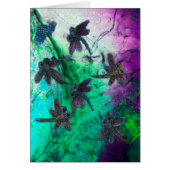 Dragonfly Magic (Front)