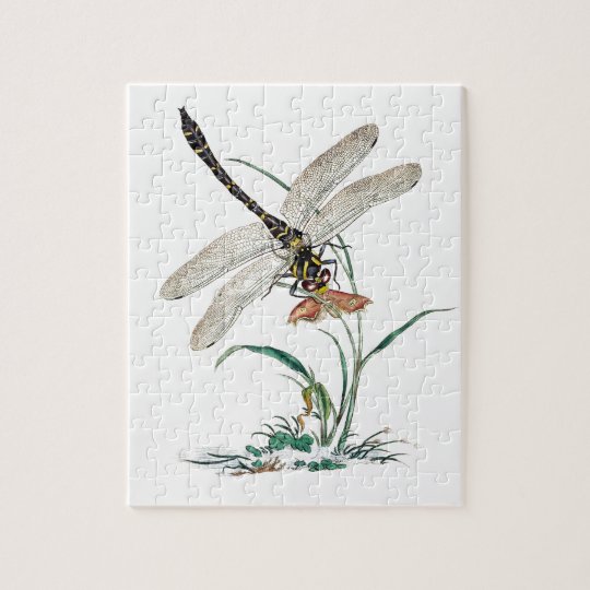 Dragonfly Magic Jigsaw Puzzle
