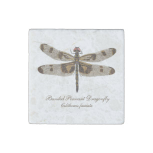 Dragonfly Magnet