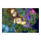 Dragonfly Mermaid ART PRINT fantasy waterlilies
