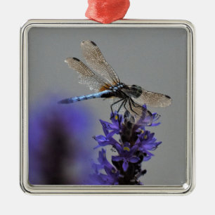 Dragonfly Metal Ornament