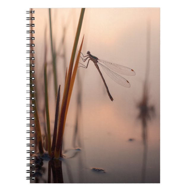 Dragonfly Misty Dawn Notebook (Front)