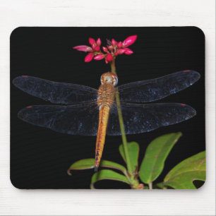 DragonFly Mouse Pad